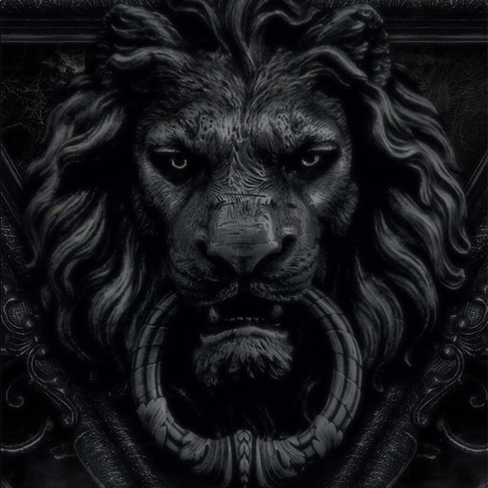 Meet your Posher, Bryce